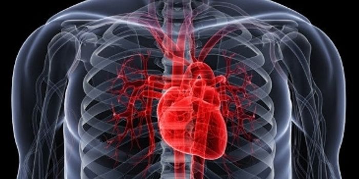 Stem Cells Show Promise For Duchenne Muscular Dystrophy Patients