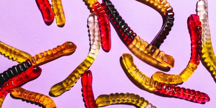 Cancer-Sniffing Worms: The Future of Diagnostics?