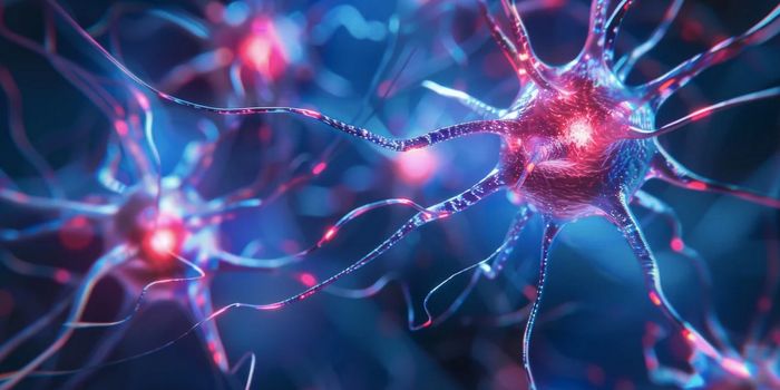 New Method Selectively Targets Diseased ALS Cells