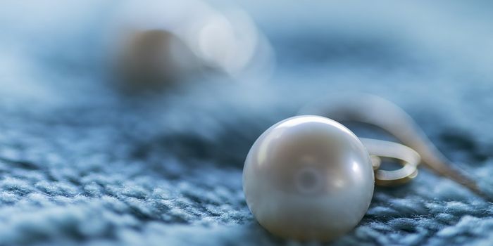 Scientists mimic nacre's strength and resiliency