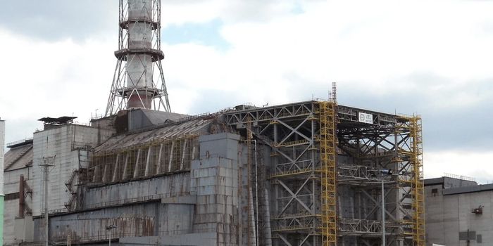 How Did the Chernobyl Disaster Affect Human Health?