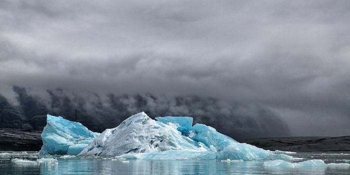 Climate change and its unfortunate impact on allergies