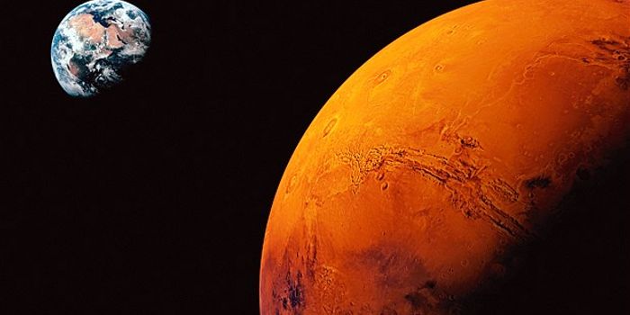 SpaceX's Elon Musk Says Company Will Send People to Mars by 2025