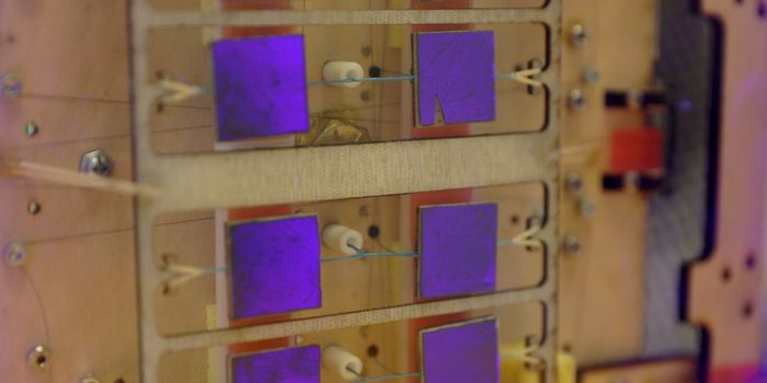 New Robotic Gripper System Inspired By Gecko Feet Could Clean Up Space Junk