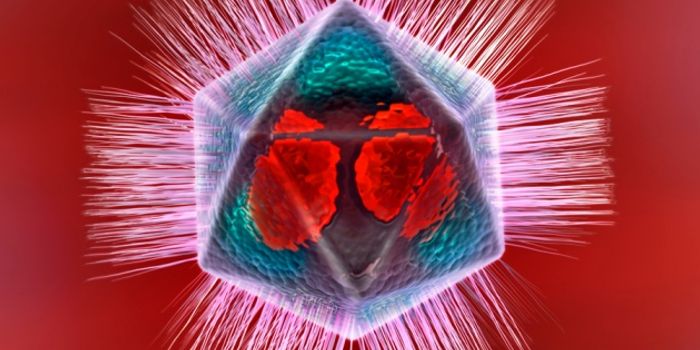 Viruses May Have An Immune System Just Like Humans