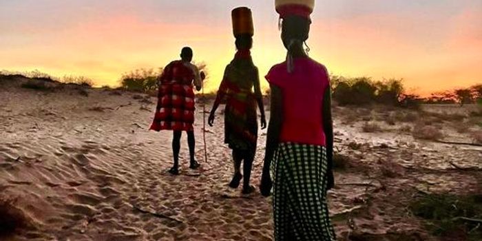 How the Turkana People Have Genetically Adapted to Desert Living