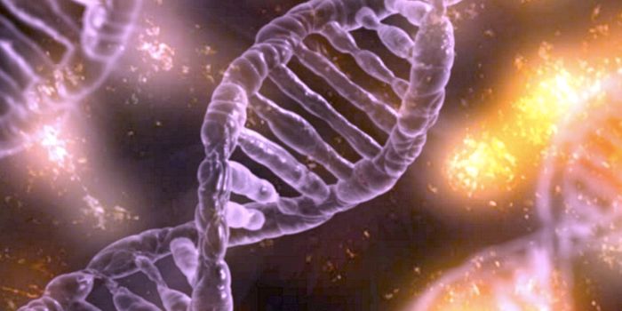 The Human Genome Sequence is Finally, Truly Complete
