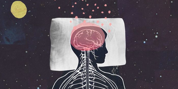 Sleep Induction Through Ion Changes