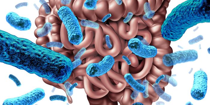 Specific gut bacteria linked to bowel cancer