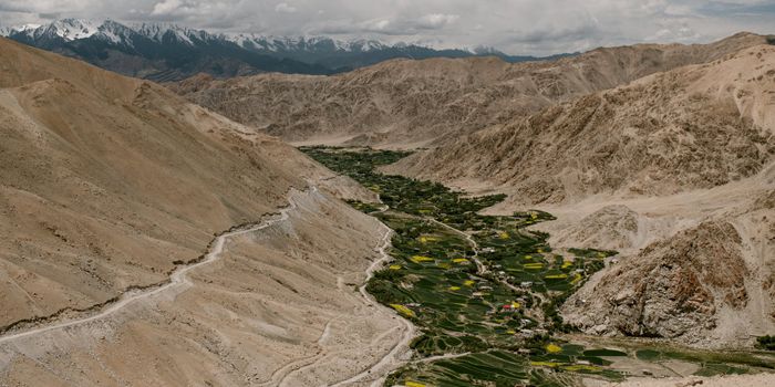 Vegetation in poor countries isn't holding up as well to climate change as vegetation in rich countries