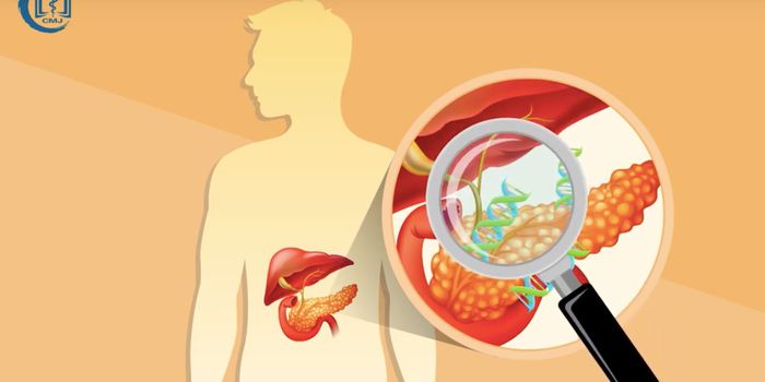 Revealing Epigenetic Causes of Type 1 Diabetes
