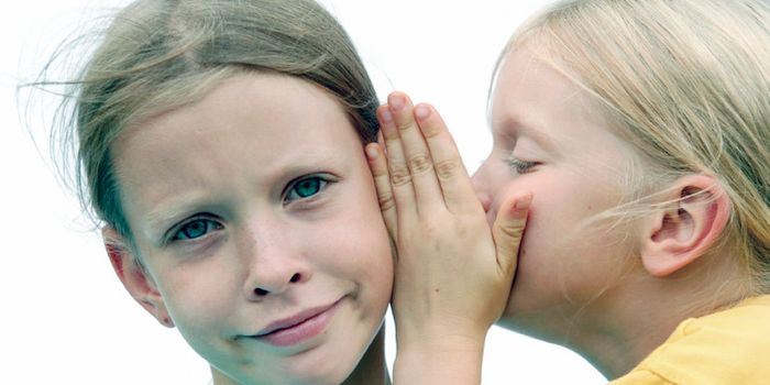 Cells play ‘telephone game' before making a move