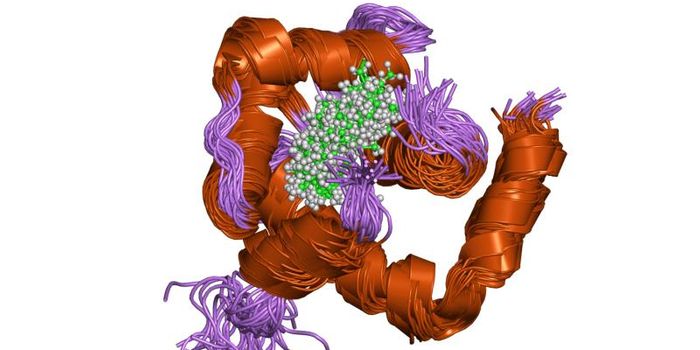New Blood Test for Diagnosing Heart Attacks