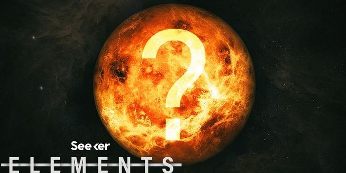 Discovery of Phosphine on Venus - What Does It Mean?