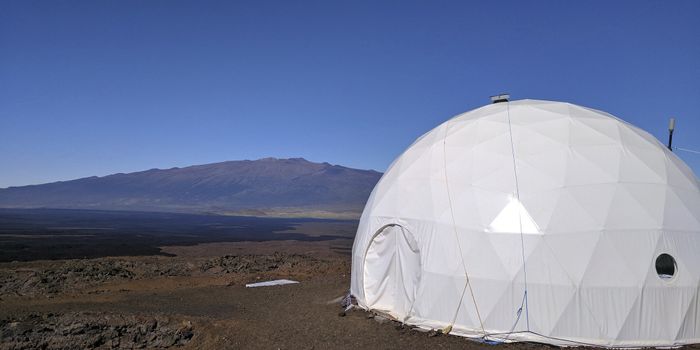 Test Subjects Emerge From NASA's Hawaii-Based Mars-Like Habitat After 8 Months