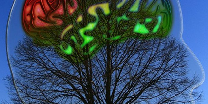 Understanding Vascular Dementia