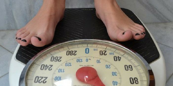 Finding Ways to Treat 'Diabesity'