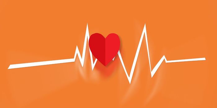 How does CBD Affect Heart Arrhythmia?