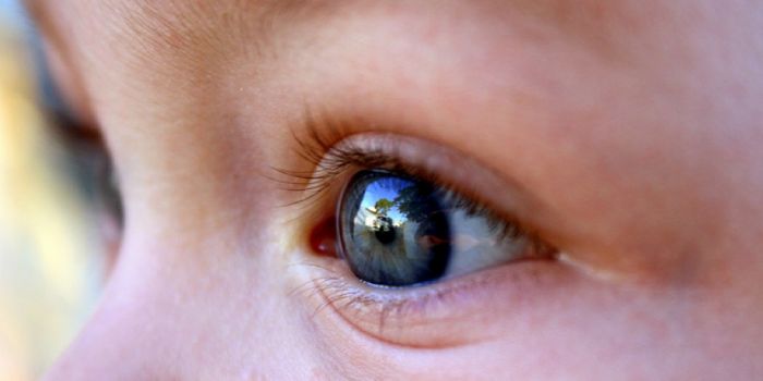 A Liquid Biopsy for Retinoblastoma