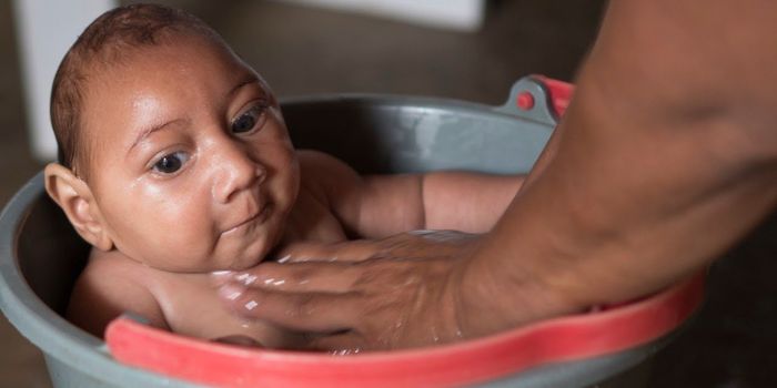 Enabling the Rapid Detection of Viruses in the Field