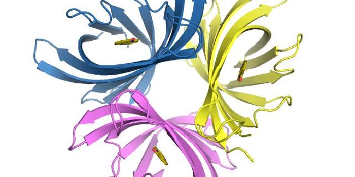 Pathogenic Biofilms Disrupted by Bacterial Protein