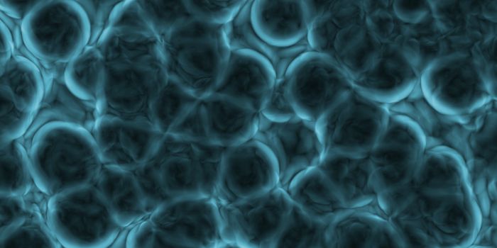 A Human Gut Microbe Can Help Maintain Healthy Cholesterol Levels