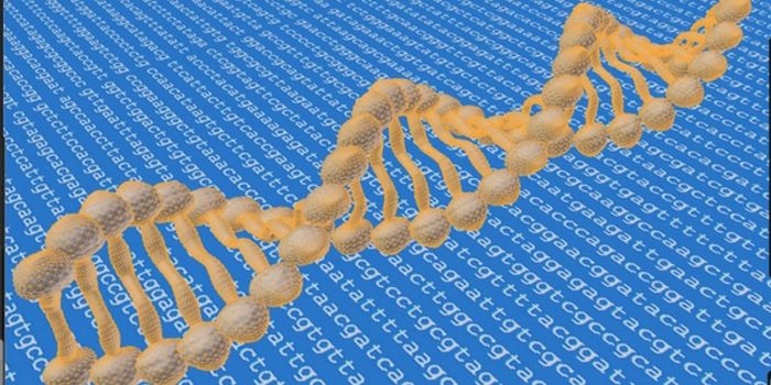 Cord Blood Transplants Are Often A Better Option