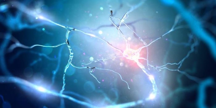 New Therapeutic Target for Depression