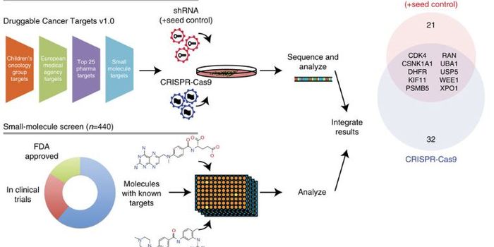 An Integrated Approach to Find Drug Targets in Rare Cancers