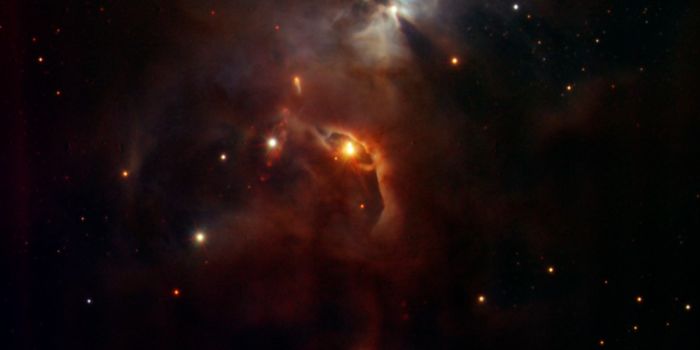 The Formation of Brown Dwarfs