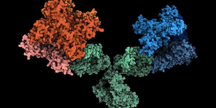 A New Way to Defend Against Mosquito-Borne Viruses