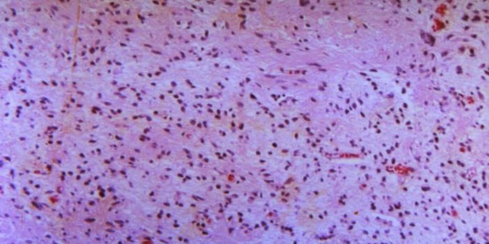 A Faster Way to Identify New Cell Types