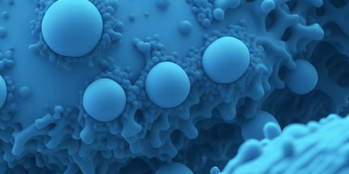 A Gut Microbe That Affects Cholesterol Production