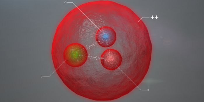 The Discovery of Xi-cc an Exotic and Charming Particle