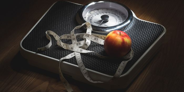 Healthy Lifestyle Adds Years to Your Life