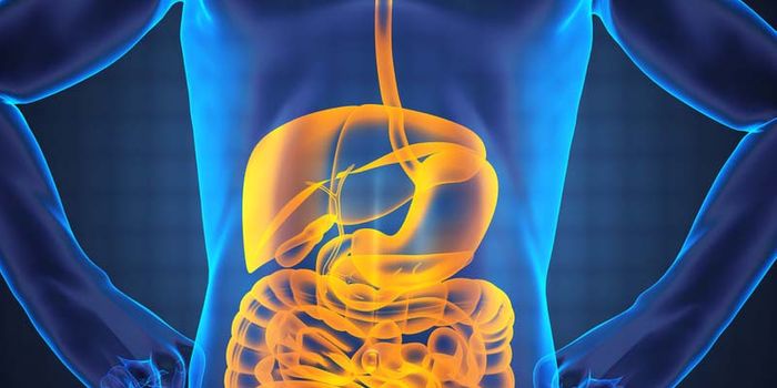 E. coli Infections Thwarted By Flu Treatments