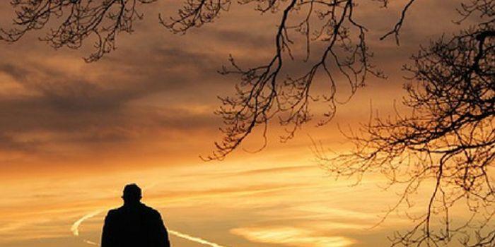 Can Loneliness Affect The Brain?