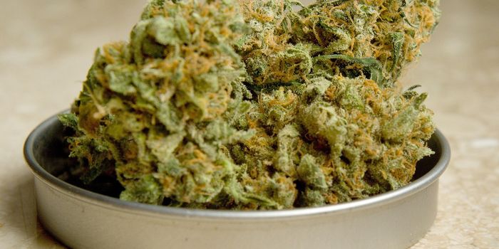 Oral Fluid Tests Are not Valid Indicators of Cannabis Exposure or Impairment