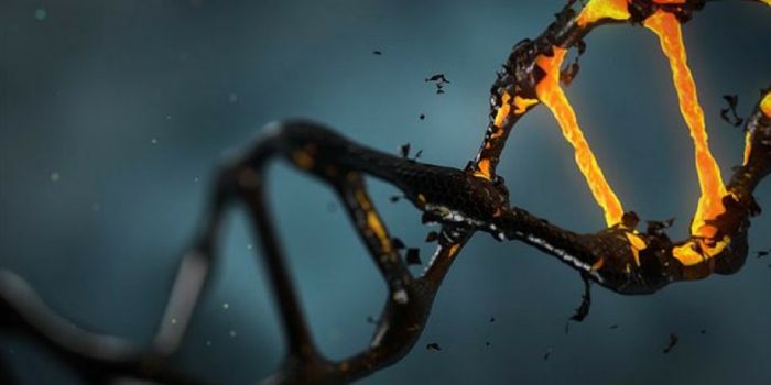 New Genetic Markers Found For Testicular Cancer