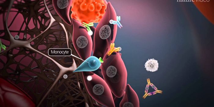 The Science Behind Rheumatoid Arthritis