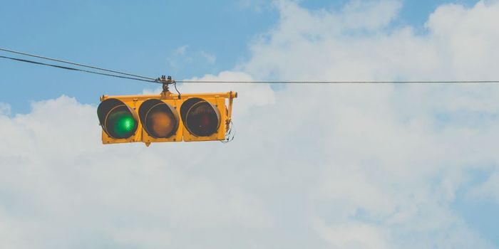 Traffic Light System Best Way to Label Cannabis Edibles
