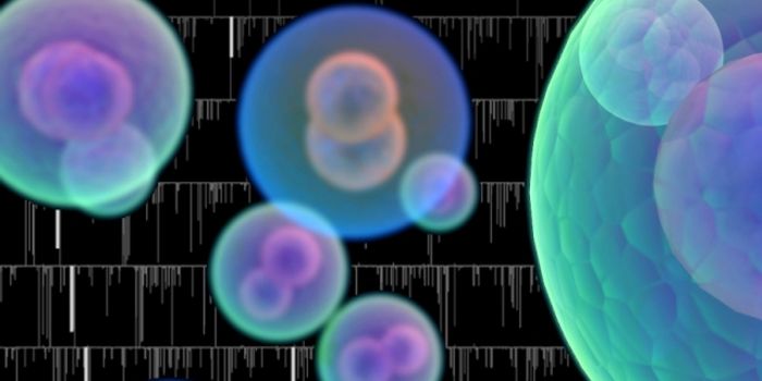 Microchip Can Precisely Measure Growth of Single Cells in a Group