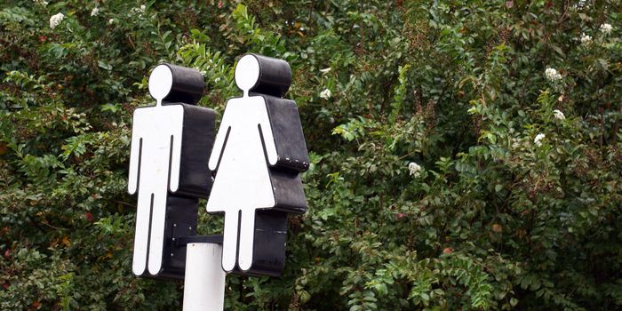 Why are Men More Prone to Cancer than Women?