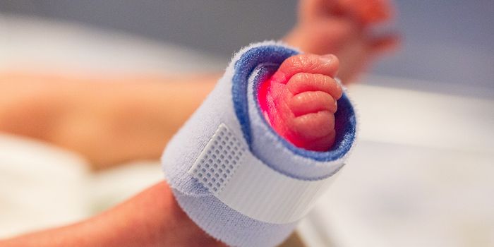 Bacteria and an Immune Molecule Influence Preterm Birth