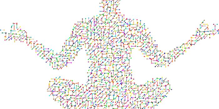 When the Immune System Makes a Mistake: Autoimmunity