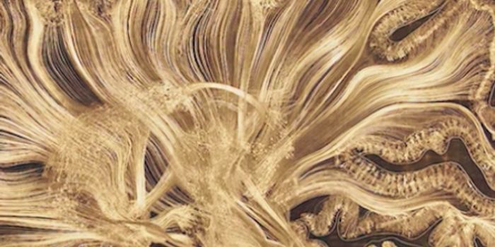 A Radical New Approach to Treating Neurodegeneration