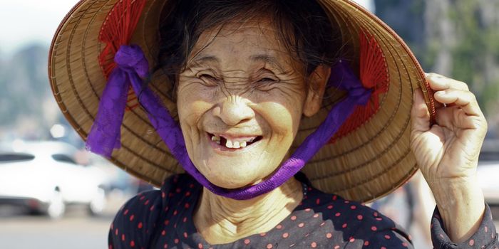 Are Gut Microbes a Secret to Longevity?