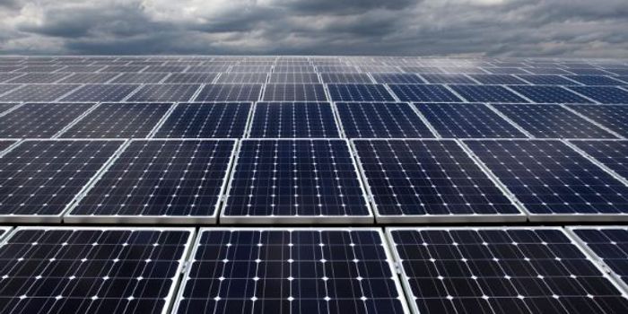 How bacteria is helping us harness solar power, even on those cloudy days