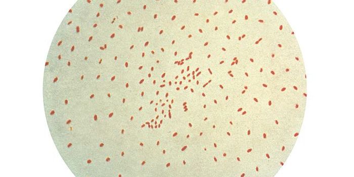 Why is Whooping Cough Back?