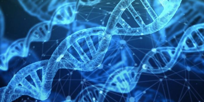 Gene Therapy Improves Transport in Neurons